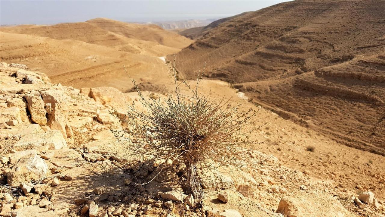 Dead Sea Sun Guest House Arad Exterior foto